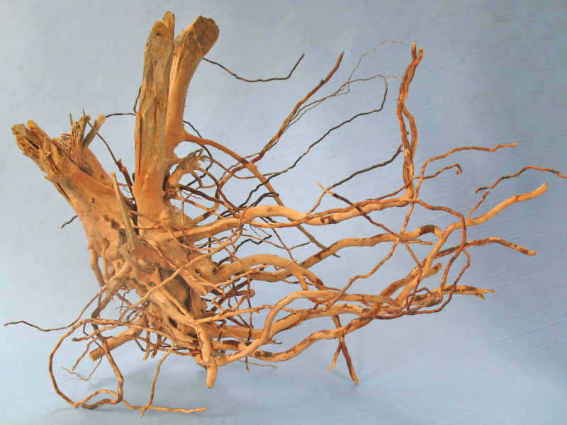 Preview: Finger-Wurzel für Aquarien und Teiche 3